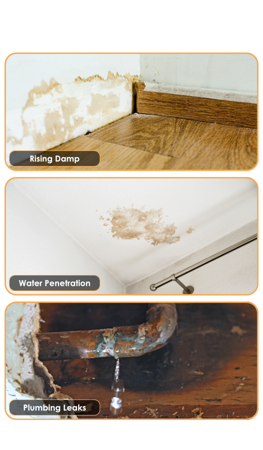 25.05 - Damp, Mould & Condensation - Trio